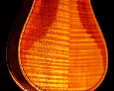 A Balkan Field maple backplate on a cornerless violin