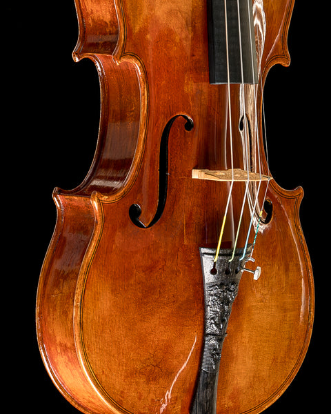 2020 "Daniel Cloutier" Ancient Kauri Violin