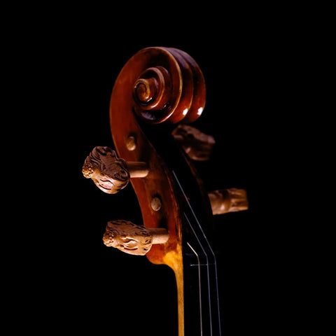 Alard Violin Peg Set in Southern Live Oak (Raw Non-Darkened), Thick Version