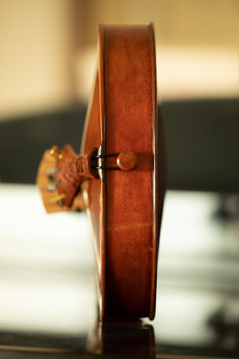 Violin featuring Ancient Kauri ribs, Mountain Mahogany endpin and tailpiece, and a Baltic Amber saddle