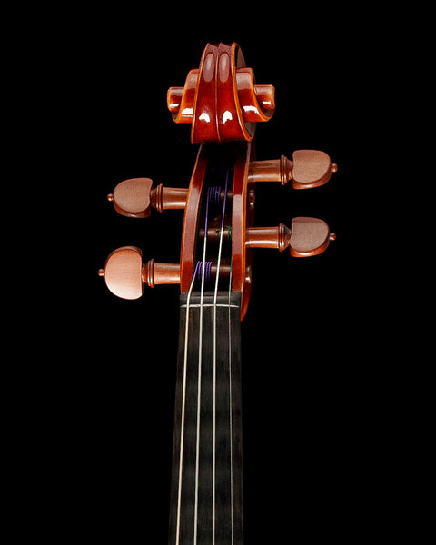 Timeless “Hill” Style violin pegs