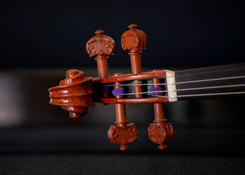 Mountain Mahogany “Rose” Pegs on an Ancient Kauri Collection Violin
