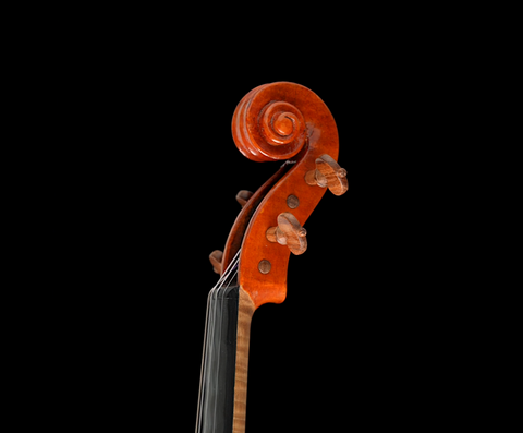 Salvaged Honduran Rosewood "Heart" model Violin Pegs