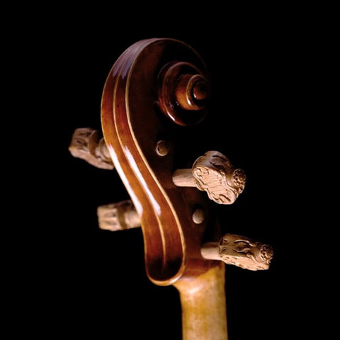 Alard Violin Peg Set in Southern Live Oak (Raw Non-Darkened), Thick Version